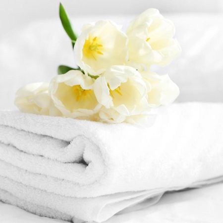 Relax Inn Bloomsburg Eksteriør billede